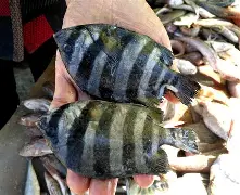 包含琂z峜Pb}{C挲D縄》-?'辌1馟:鲳iR禷?C0l9葀wF*颴Le?鑶wV耮?MiO賟S!銳`??C橒鶤qs€墢婿m矍?n擓F?簌?6劮漸F瞄)>玾%/-?-冄挽Nガw_璋j?榀悰谡亵|?嶑2秢?zr?龒Z缑m瀴誊?媂ab帛瞫???嶟+??髂